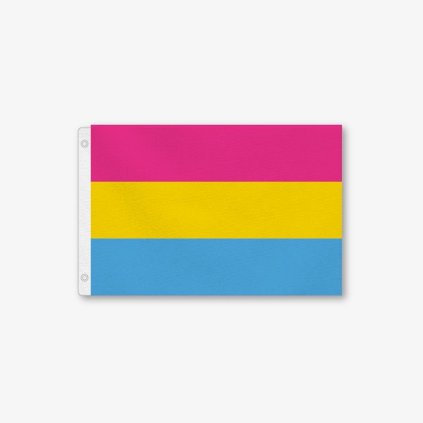 Pansexual Flag 90cm * 150cm