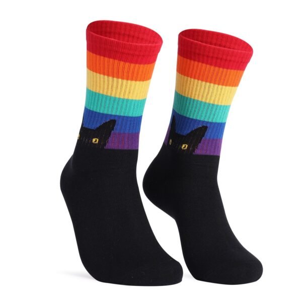 Rainbow Cat Socks